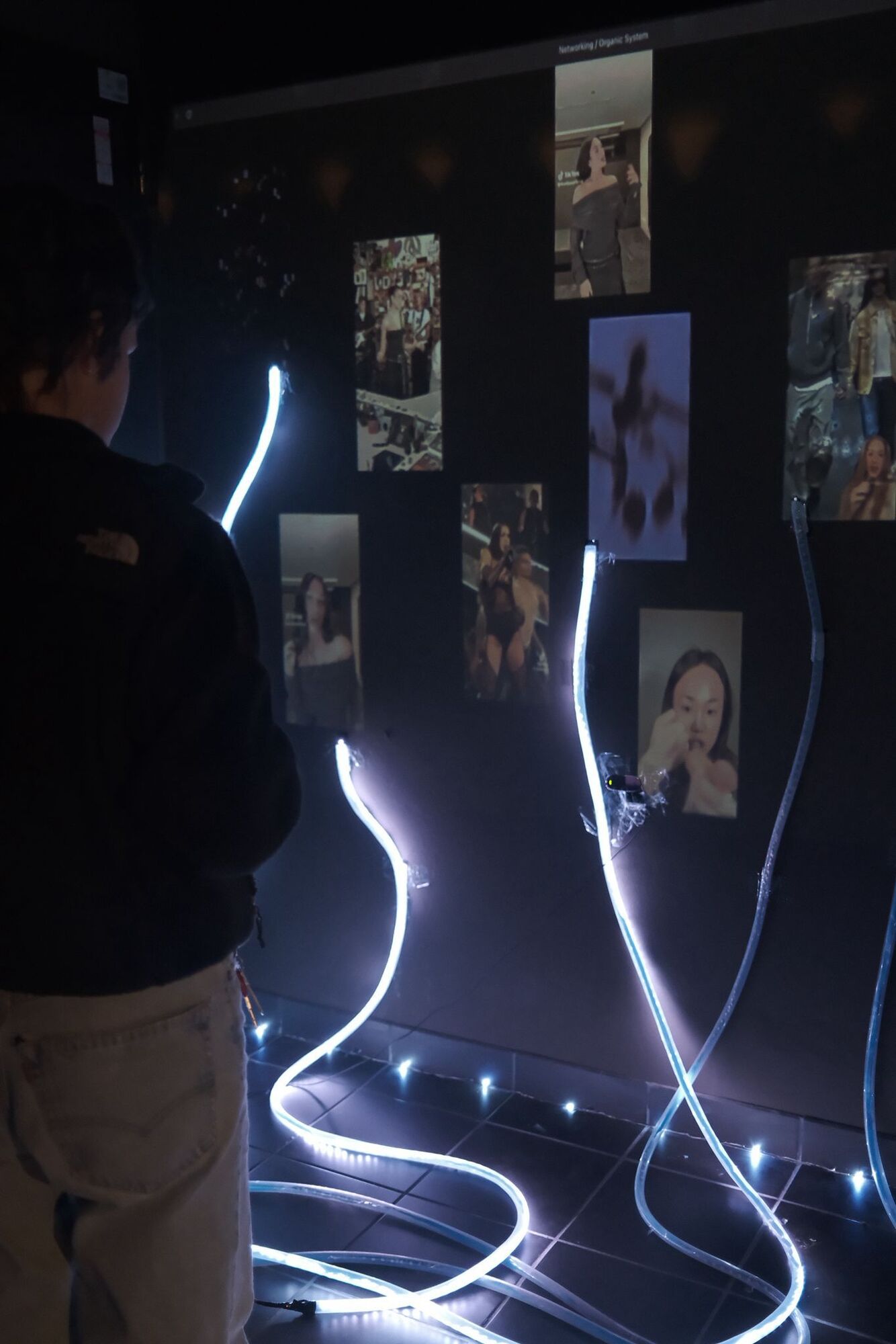 Visitor inside the dark projection room with luminous mycelium-like light tubes