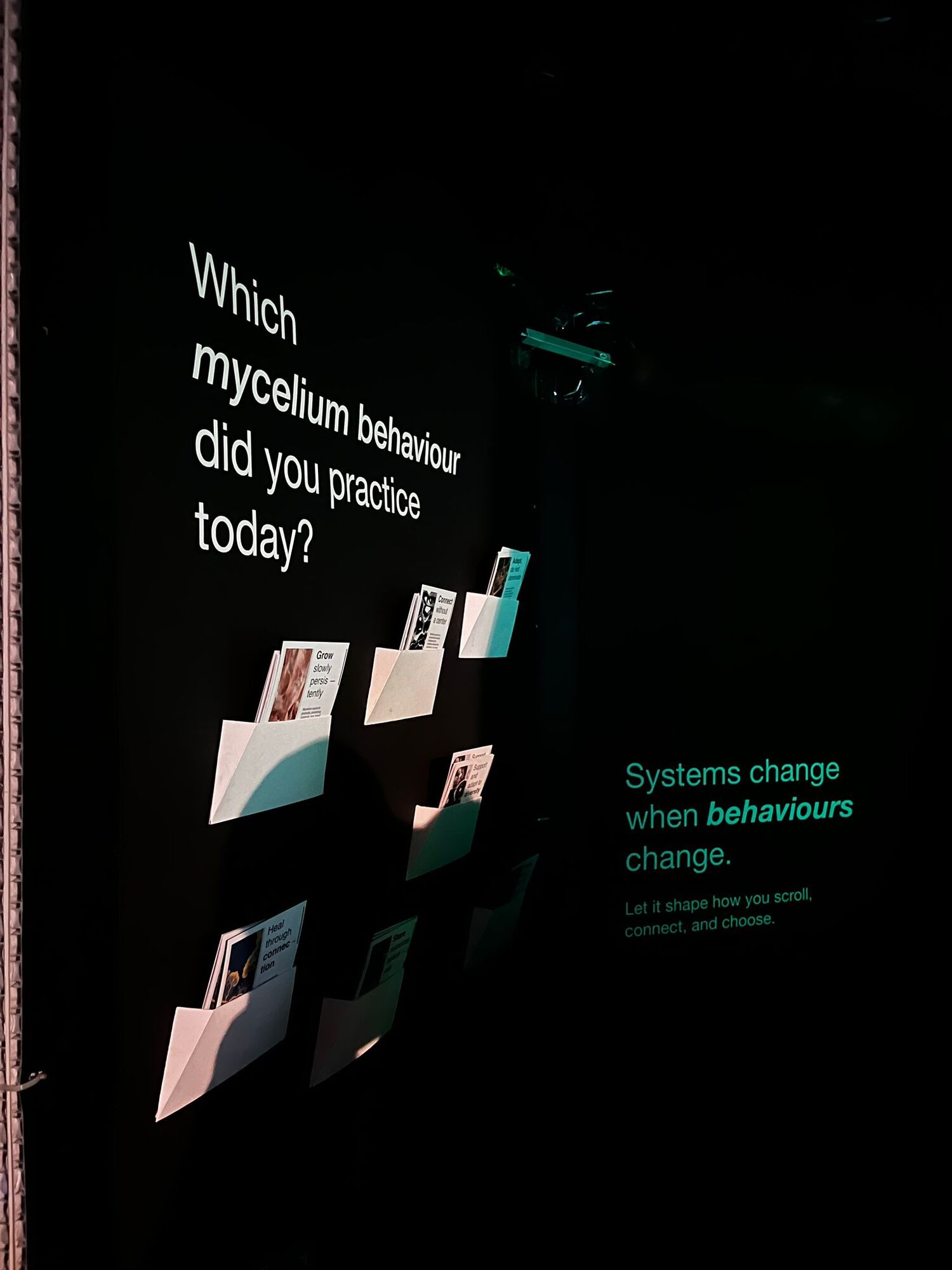 Wall with mycelium behaviour prompt cards and green system change text