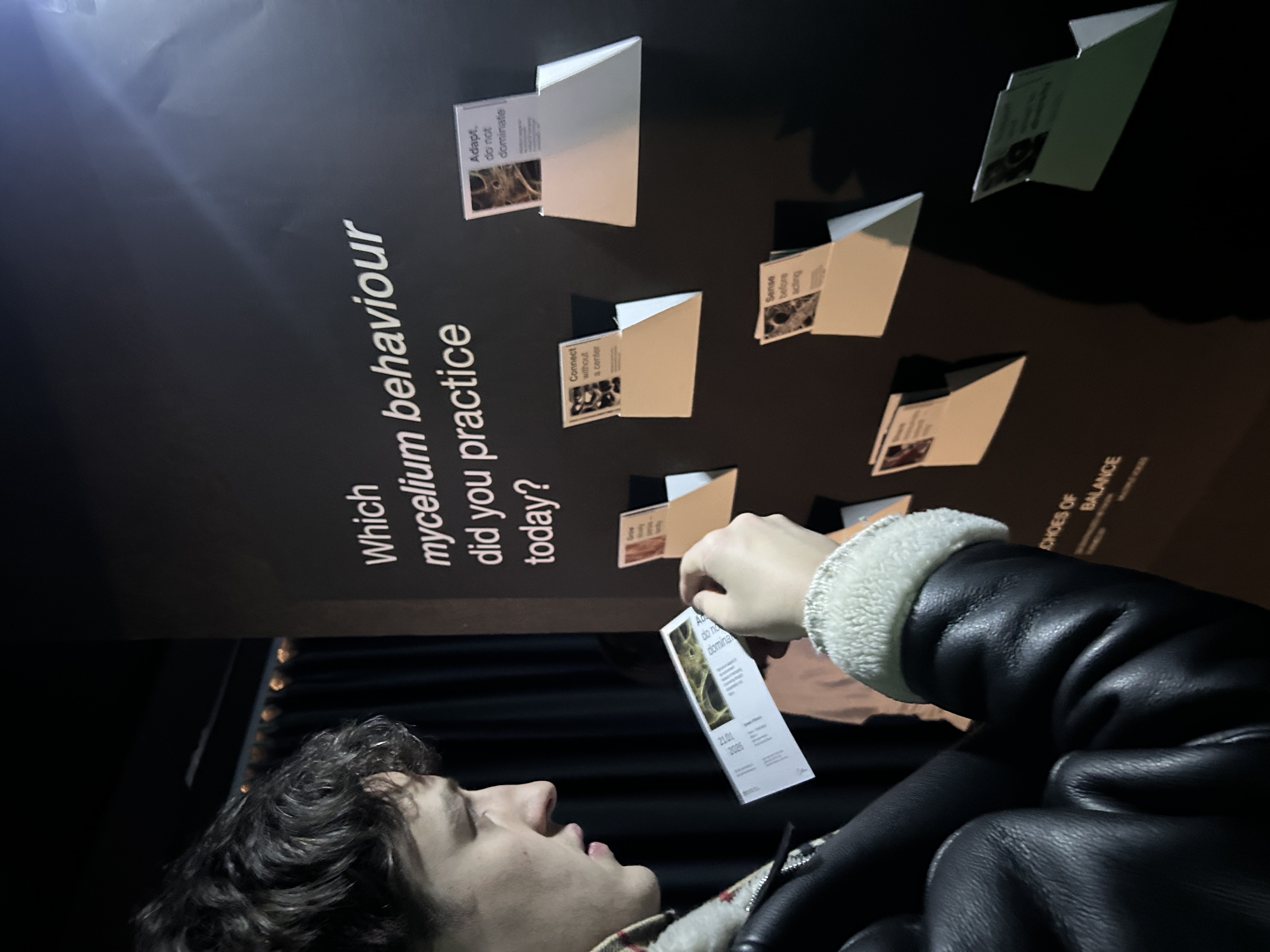 Visitor taking a printed mycelium behaviour card from the exhibition wall